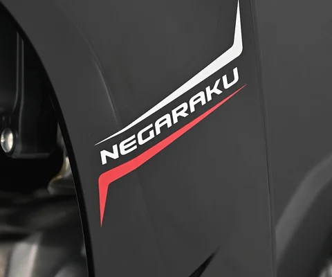 Identiti Nasional